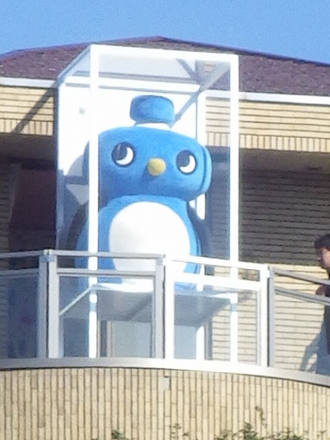 aquaclara lemongas holding2