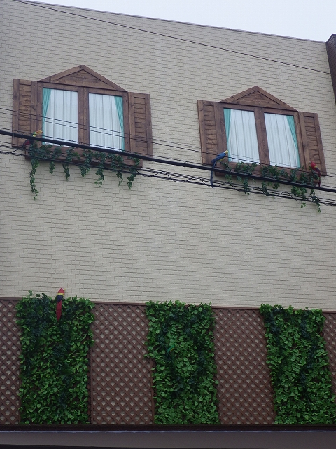 文化堂阿佐ヶ谷店