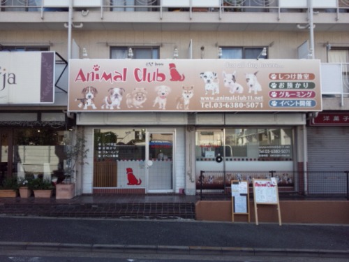 Animal Club様の看板製作写真3