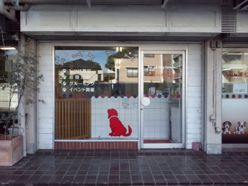 Animal Club様の看板製作写真1